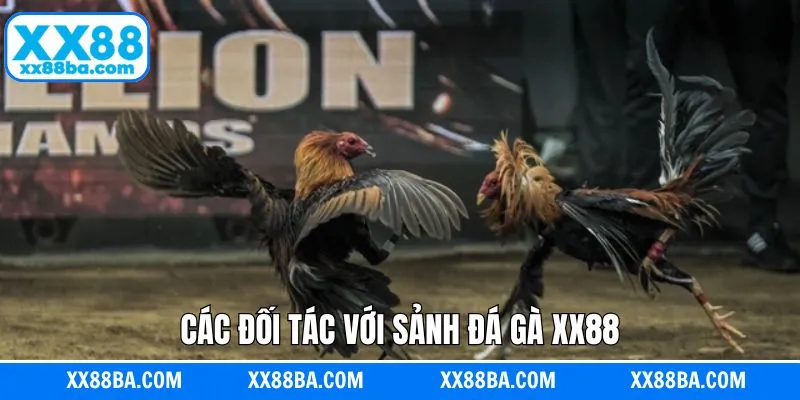 Các sảnh đá gà thịnh hành tại XX88